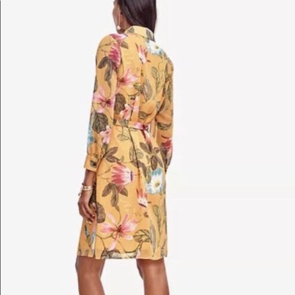 Ann Taylor dress 2 - Picture 5 of 5